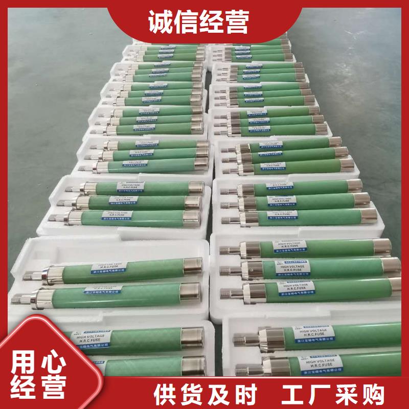 保护电压互感器用高压限流熔断器XRNP1-12/3.15A