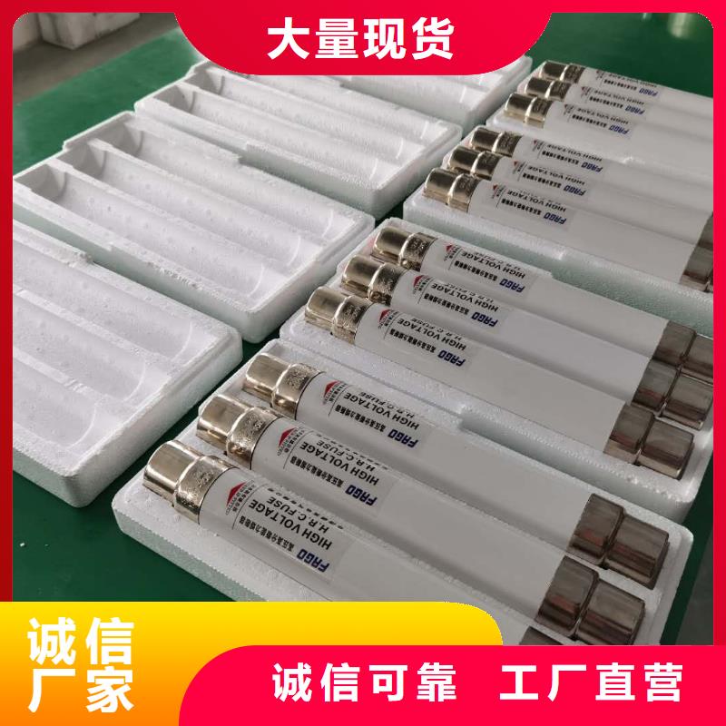 保护电压互感器用高压限流熔断器XRNP1-12/3.15A