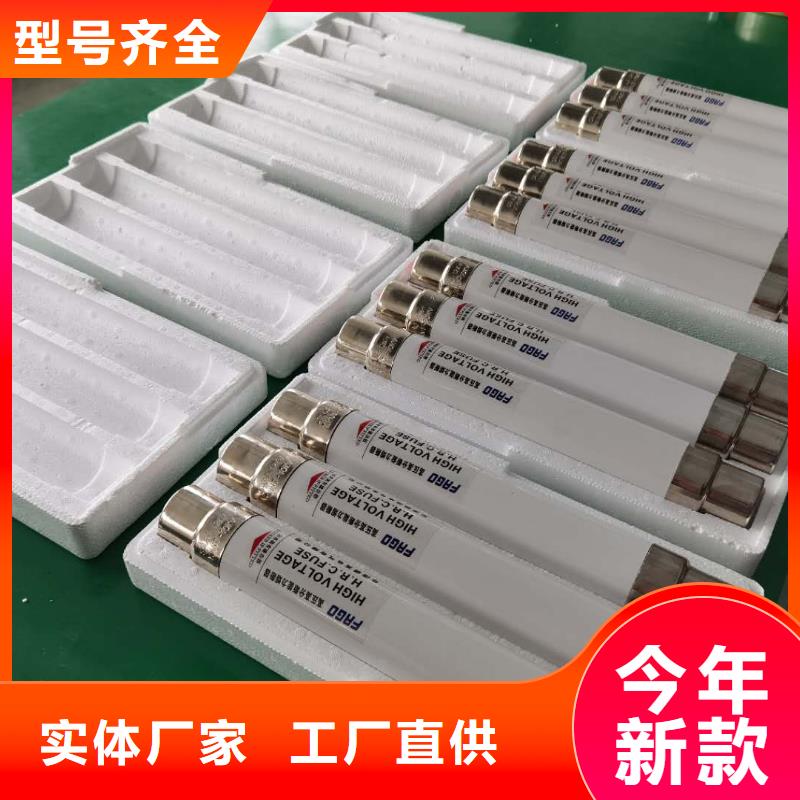 陵水县生产厂家XRNP1-40.5/3.15A保护电压互感器用高压限流熔断器