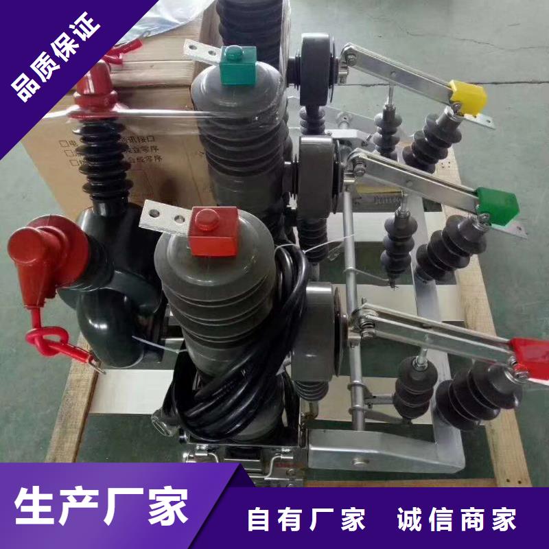 真空断路器套管实力工厂