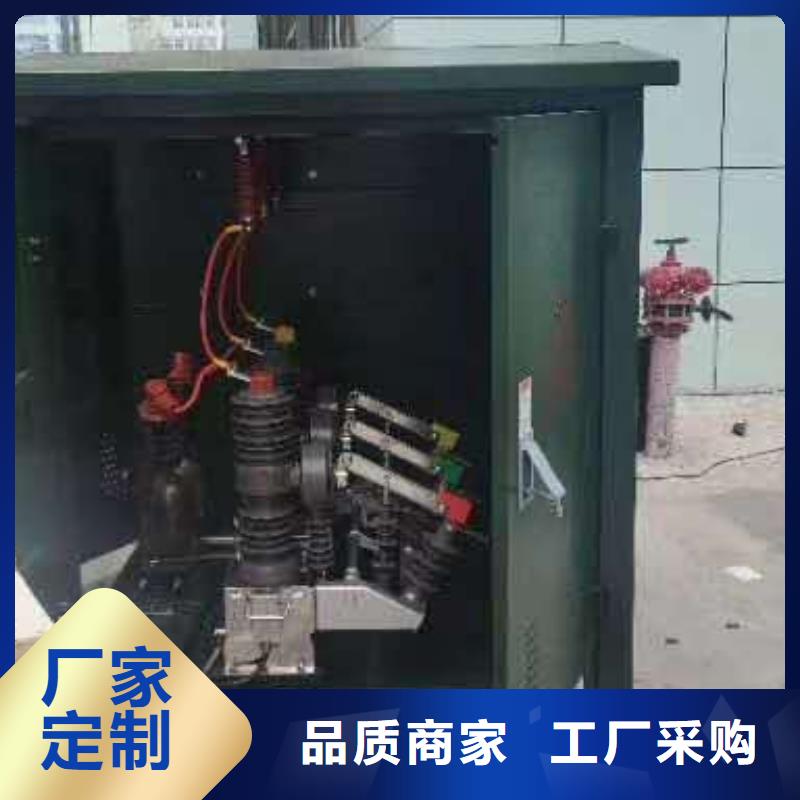 真空断路器XRNP-10KV高压限流熔断器品质保证
