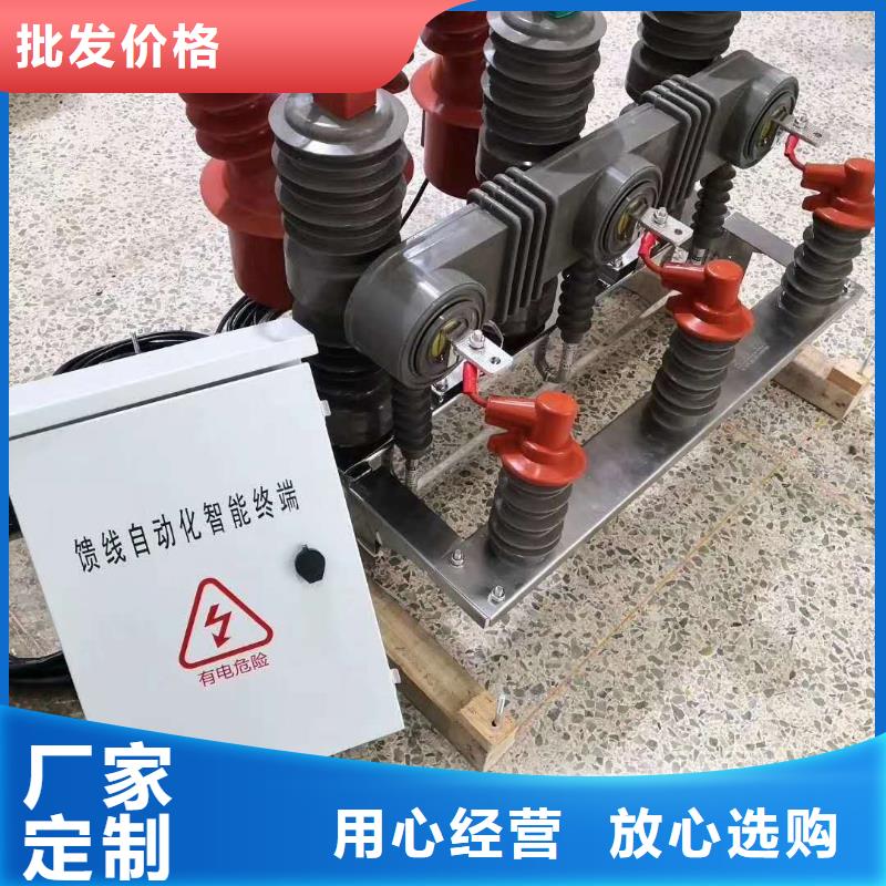【真空断路器】电磁锁做工精细