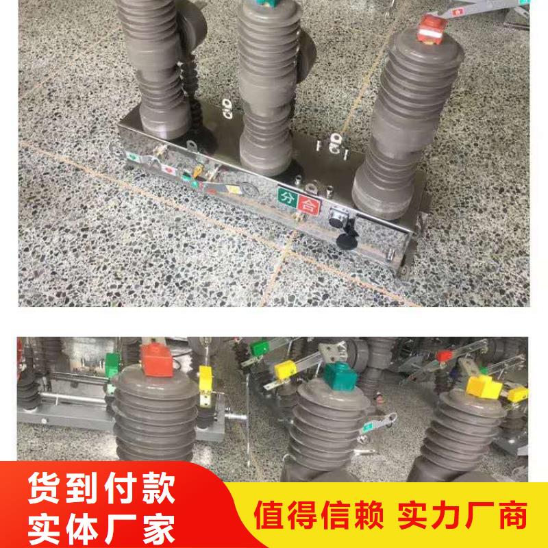 【真空断路器-高压氧化锌避雷器N年生产经验】