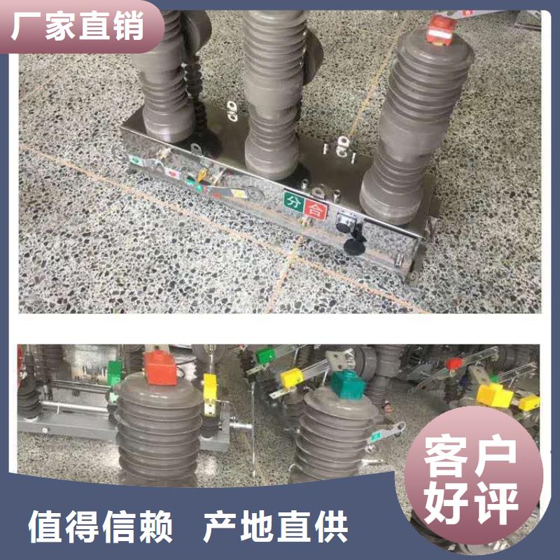 【真空断路器】电磁锁做工精细