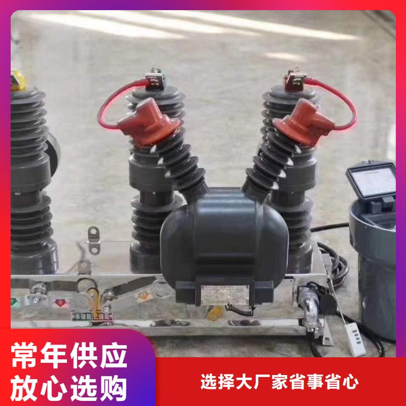 真空断路器XRNP-10KV高压限流熔断器品质保证