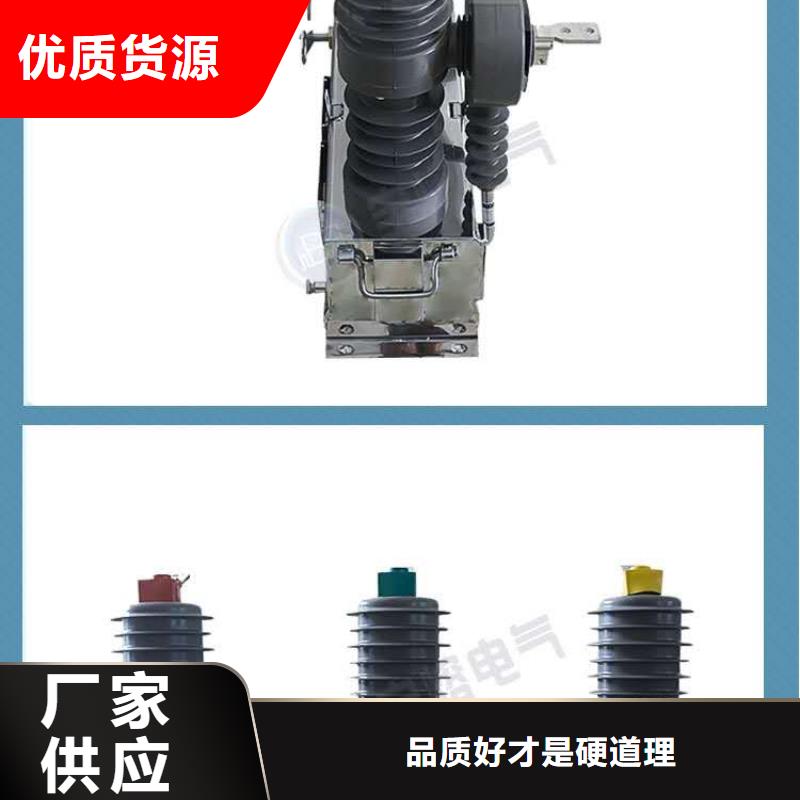【真空断路器】电磁锁做工精细