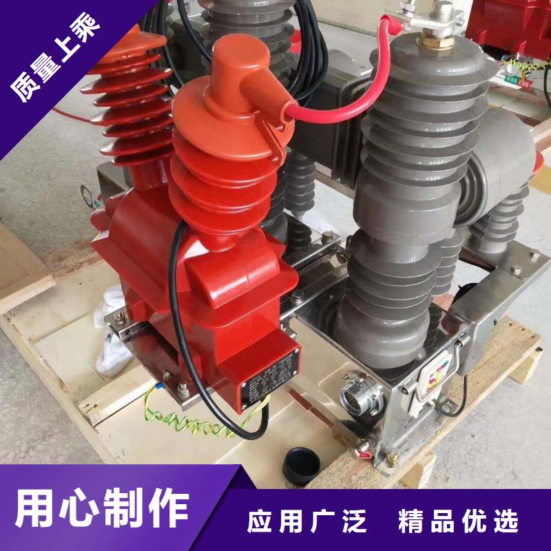 【真空断路器-高压氧化锌避雷器N年生产经验】