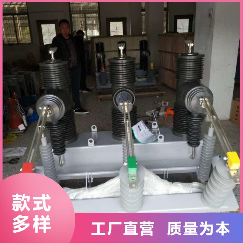【真空断路器】电磁锁做工精细