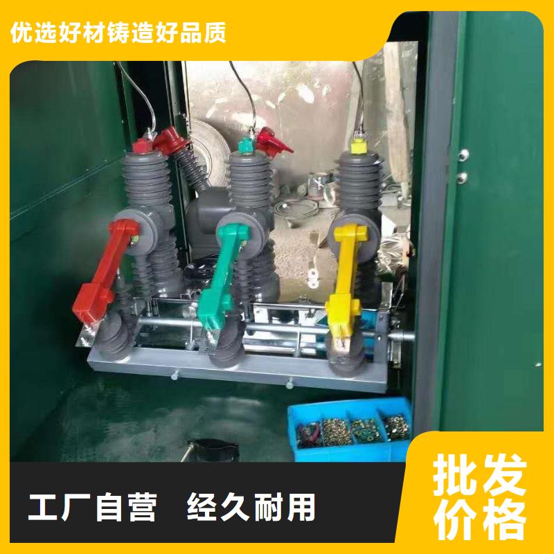 真空断路器户外高压真空断路器用心制造