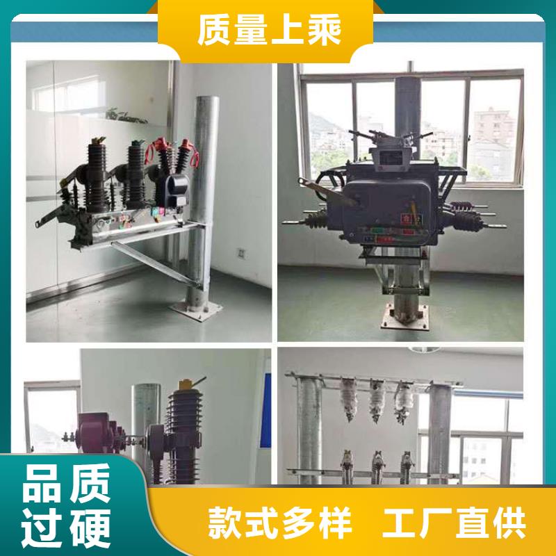 真空断路器户外高压真空断路器用心制造