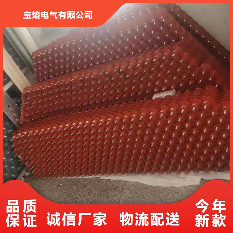 阀式避雷器FZ2-35生产厂家