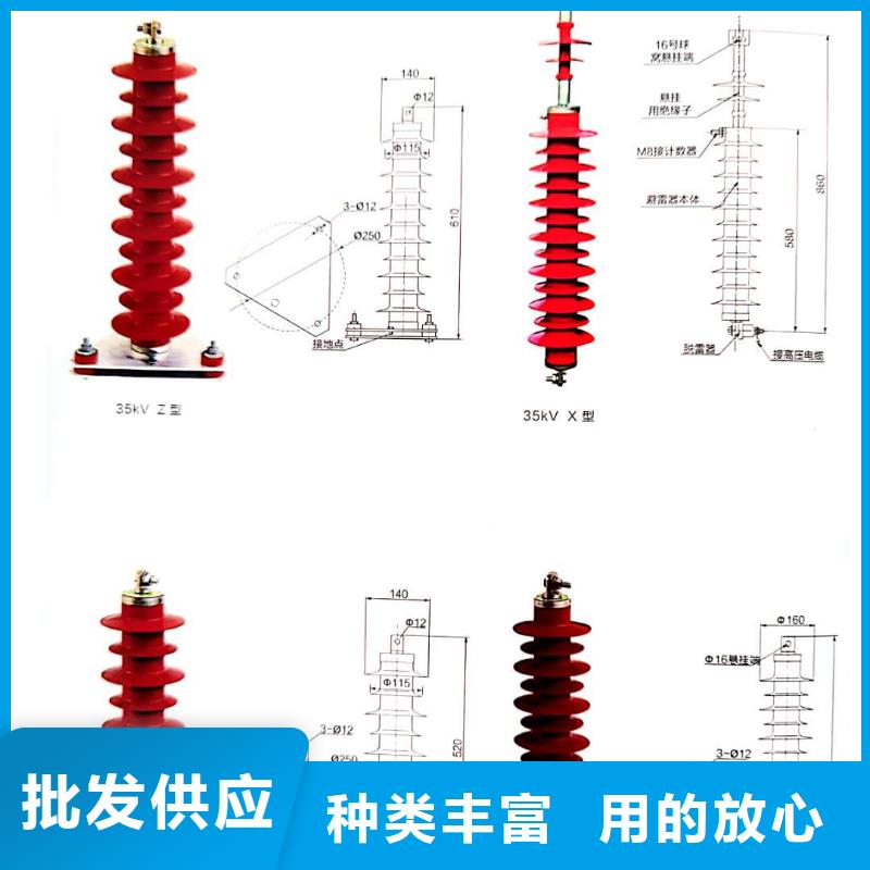Y10WX-114/296线路无间隙型避雷器