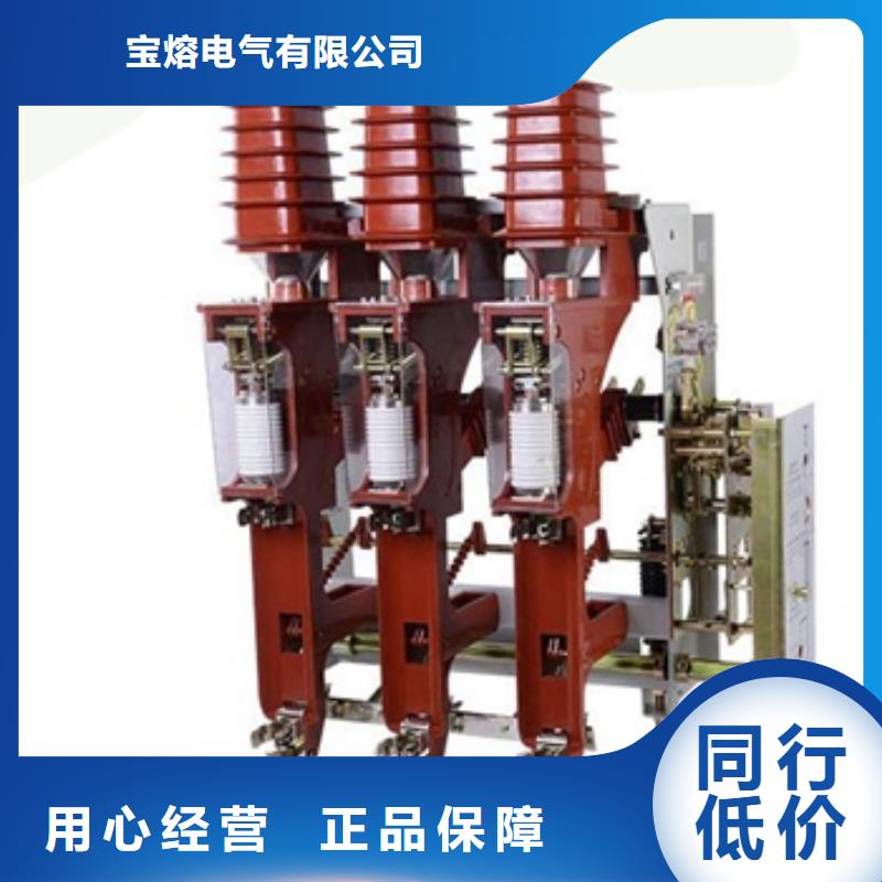 高压负荷开关HY5WS-17/50避雷器产品细节参数