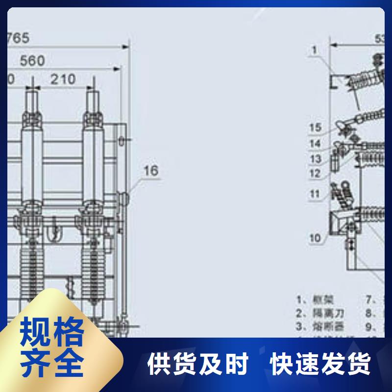 高压负荷开关HY5WS-17/50避雷器产品细节参数