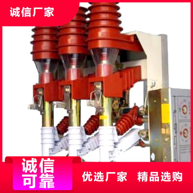 【高压负荷开关高压接地开关专业厂家】