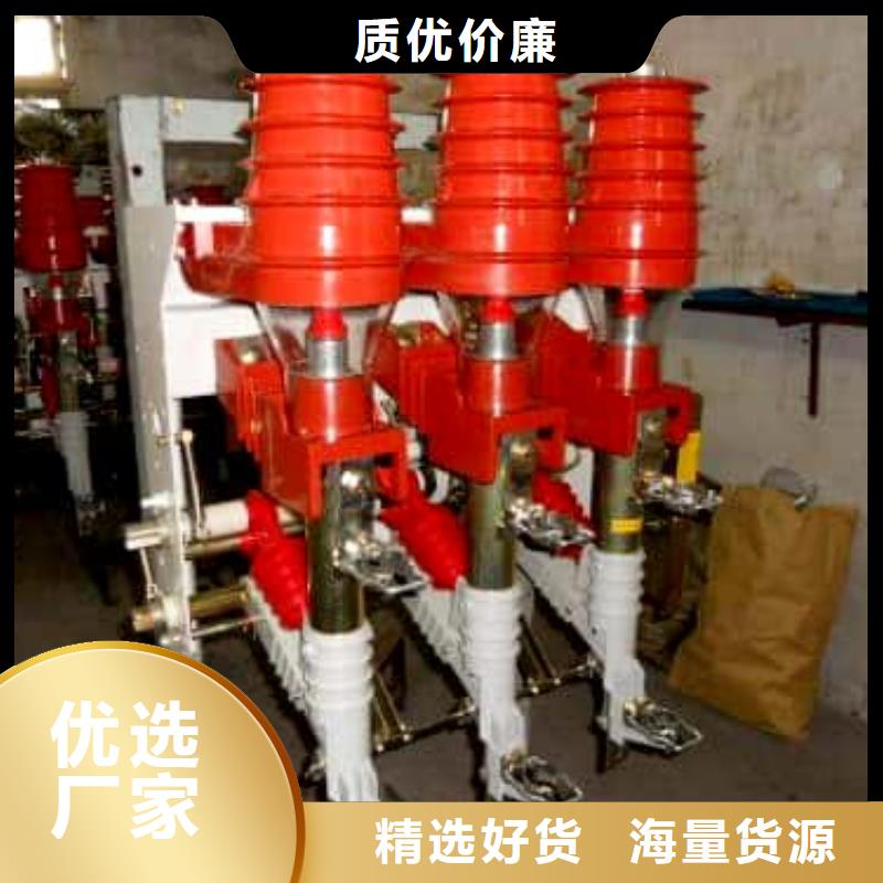 高压负荷开关HY5WS-17/50避雷器产品细节参数
