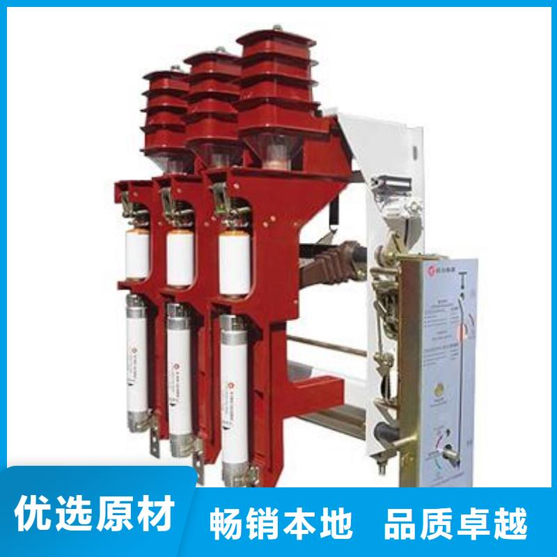 【高压负荷开关高压接地开关专业厂家】