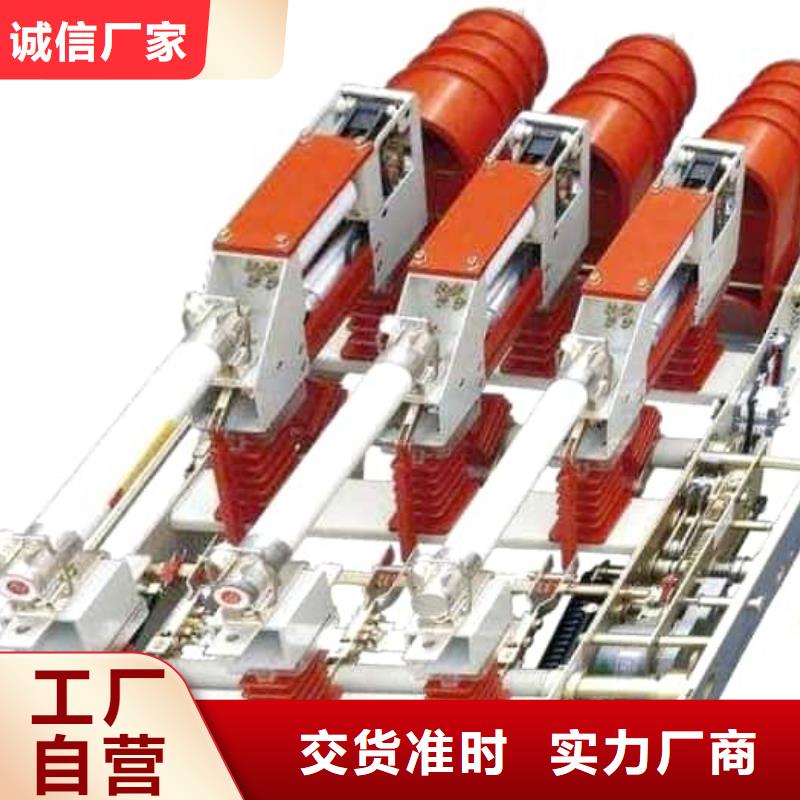 高压负荷开关户外高压真空智能断路器支持大小批量采购