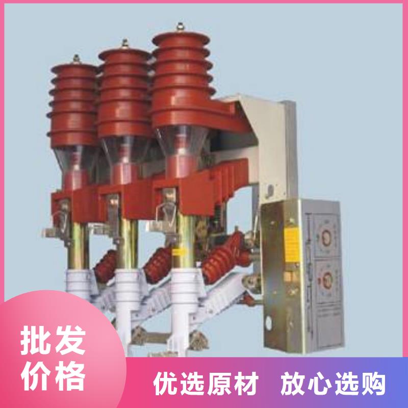 【高压负荷开关高压接地开关专业厂家】