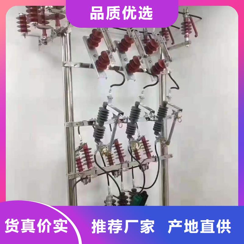 户外高压跌落式熔断器RW12-10/100A厂家直销