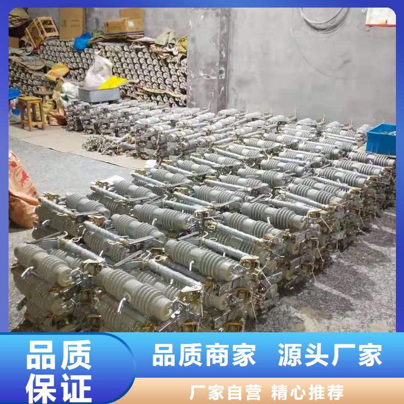 生产厂家RW12-12/100A高压跌落式熔断器