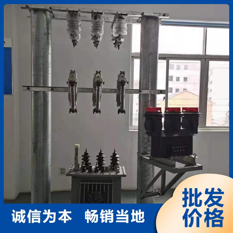 跌落式熔断器【XRNP-10KV高压限流熔断器】现货满足大量采购