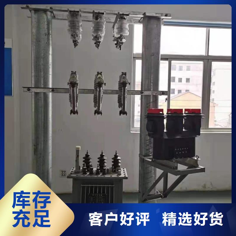户外高压跌落式熔断器RW12-11/100A厂家直销
