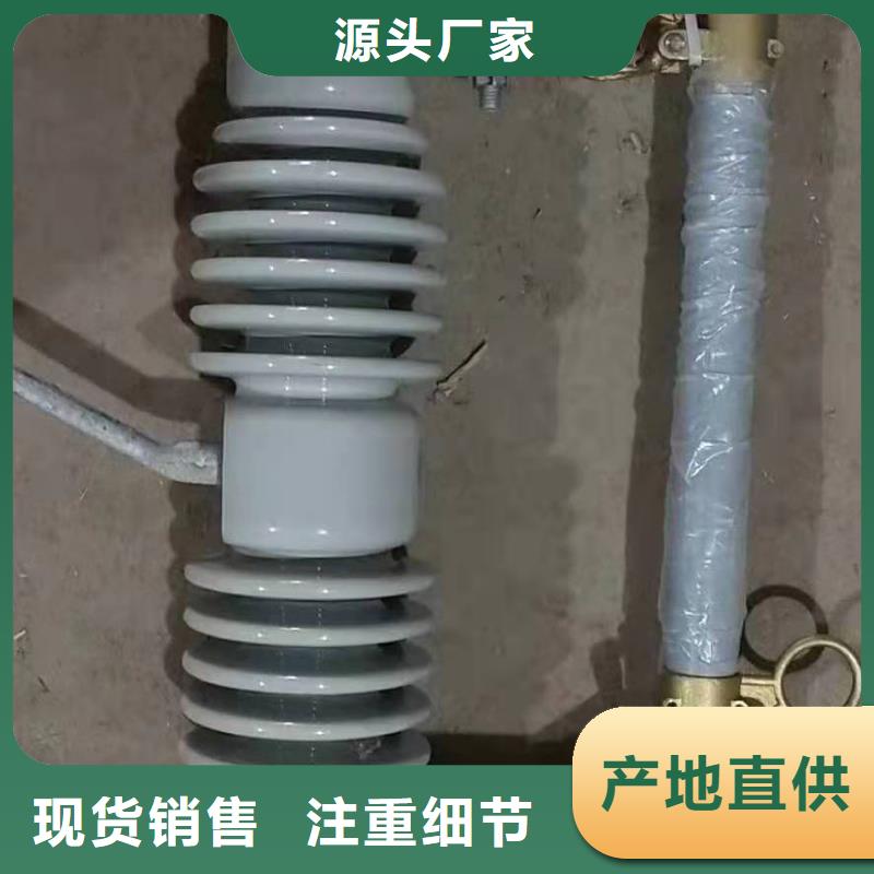 户外高压跌落式熔断器RW12-10/100A厂家直销