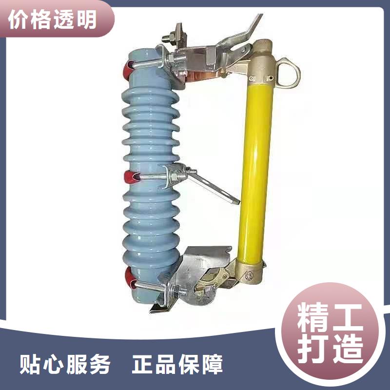 跌落式熔断器FKN12-12/630A畅销本地