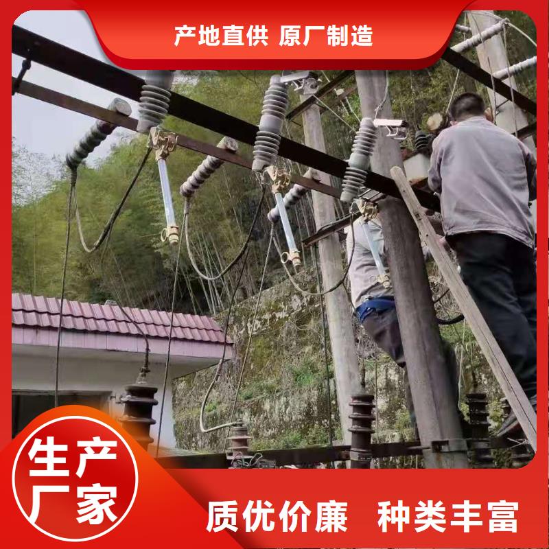 生产厂家RW12-12/100A高压跌落式熔断器