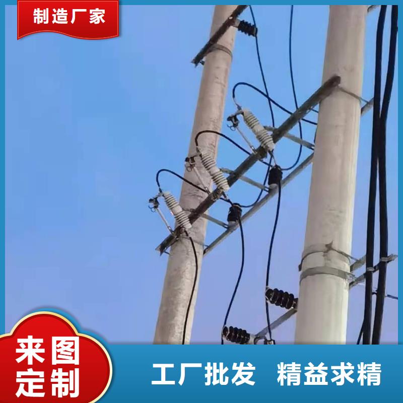 户外高压跌落式熔断器RW12-11/100A厂家直销
