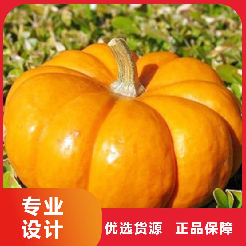 南瓜丁欢迎致电