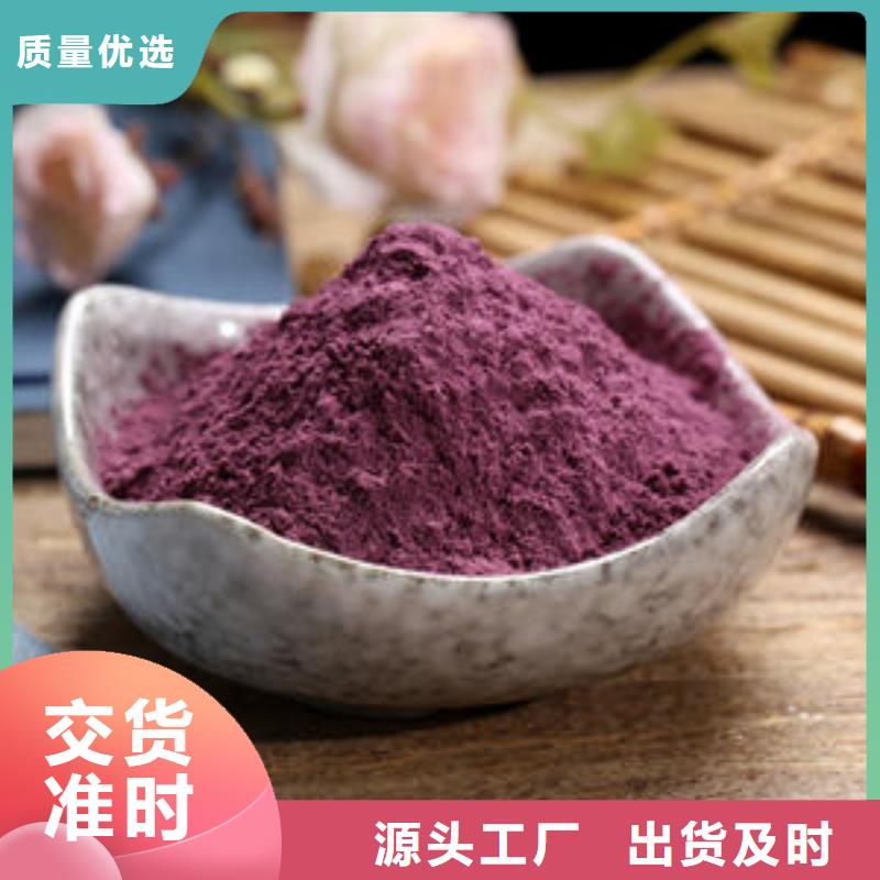 紫地瓜苗子供应