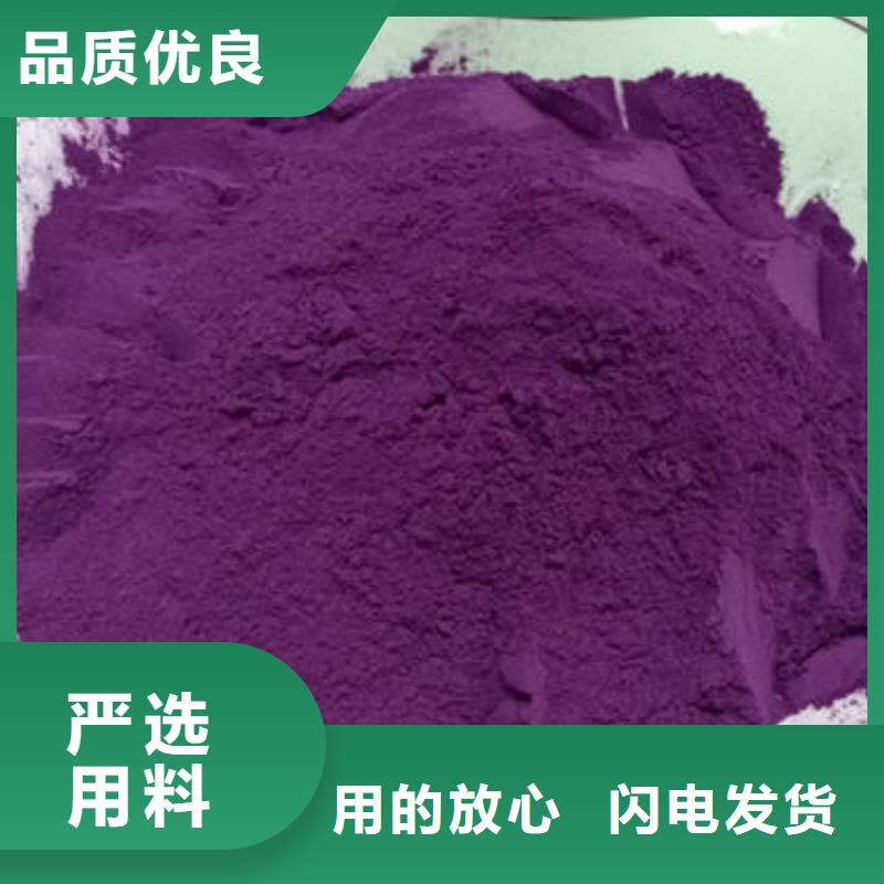 紫地瓜苗批发