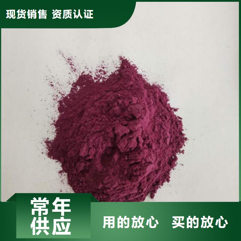 紫地瓜苗批发