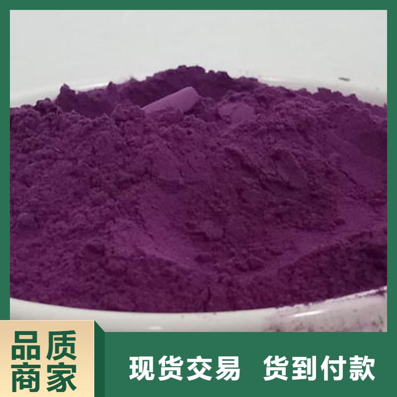 紫地瓜苗子供应