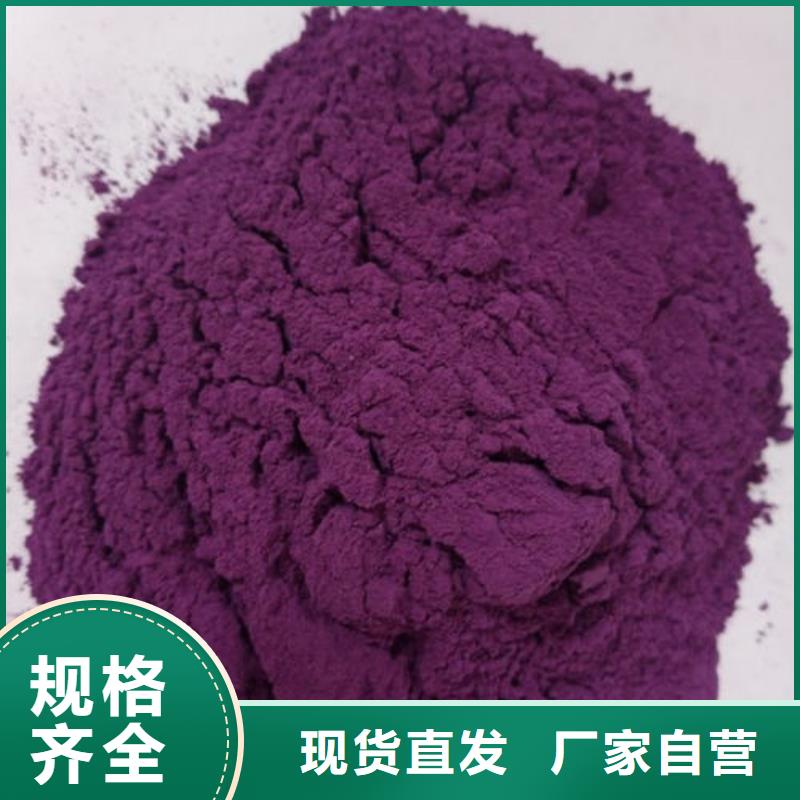 紫红薯苗报价