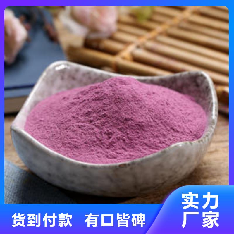 紫地瓜苗子多少钱