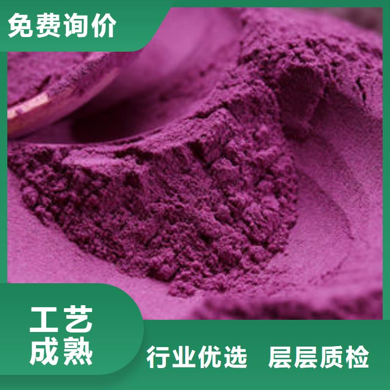 紫地瓜苗子种植厂家