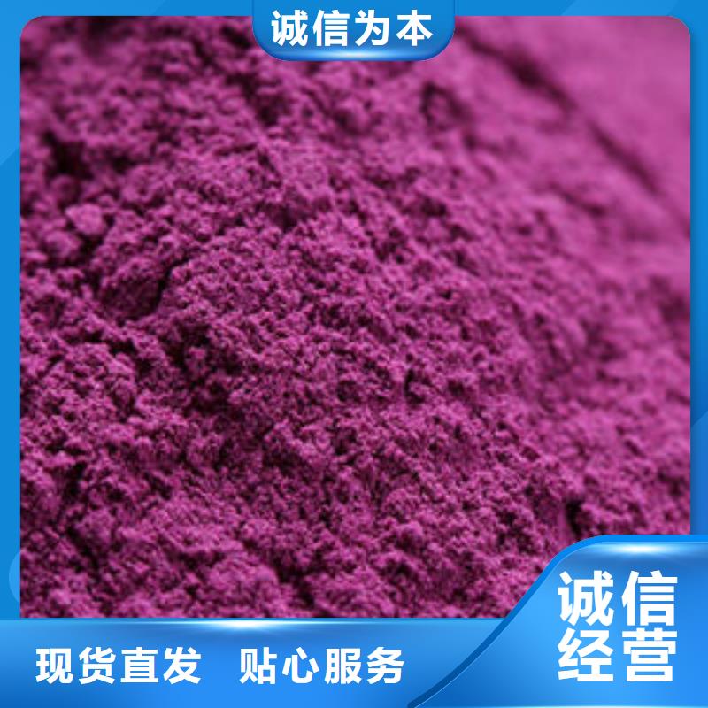 紫薯种子种植厂家