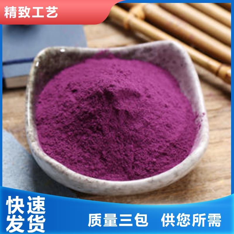 紫地瓜苗图片