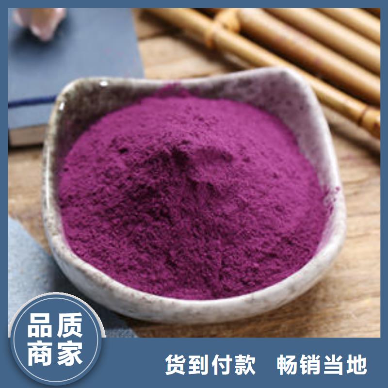紫地瓜苗厂家价格是多少