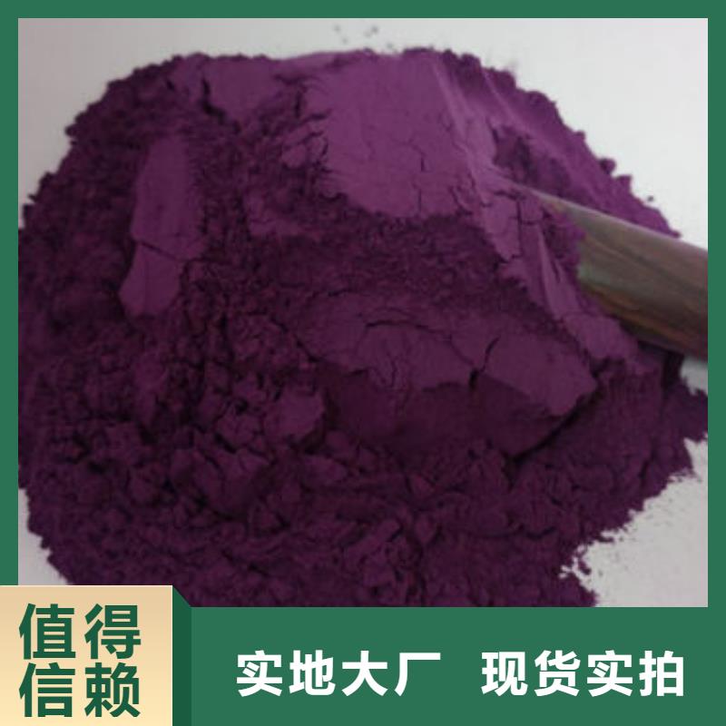 脱水蔬菜紫色地瓜全粉原料