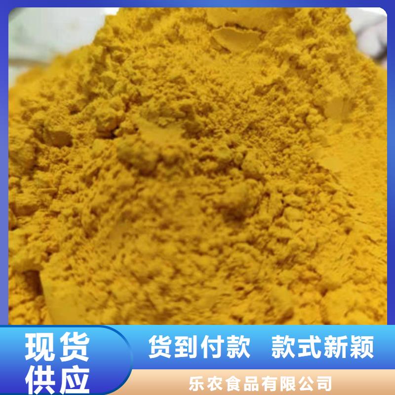 南瓜粉南瓜丁厂家支持大小批量采购