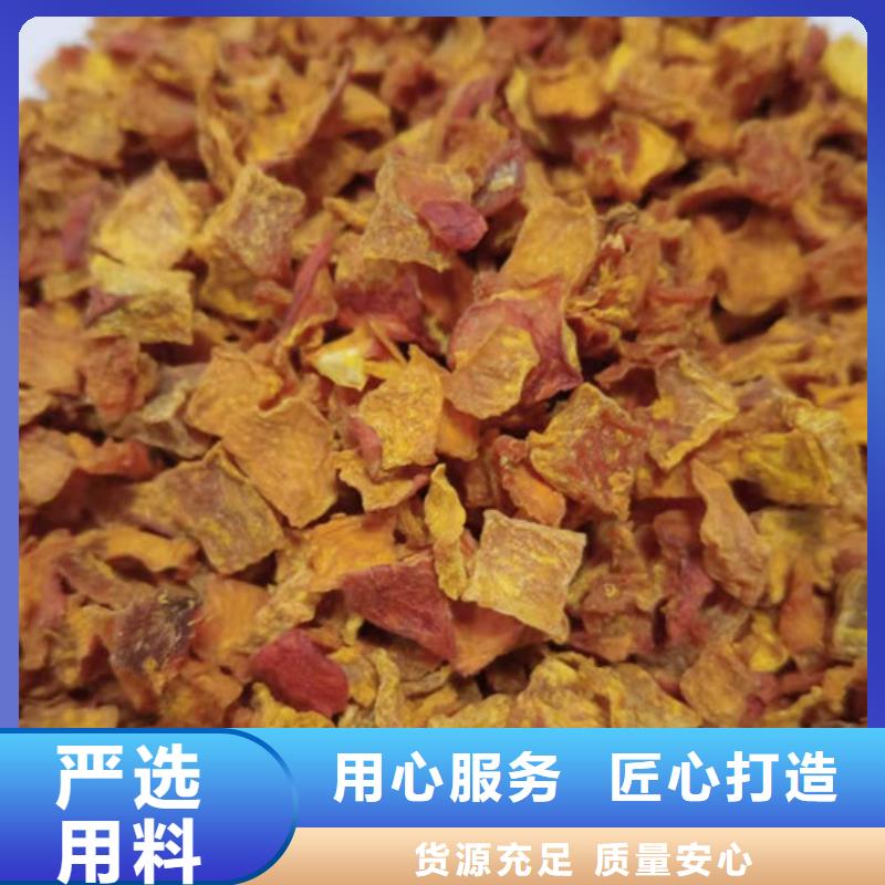 无籽南瓜丁（金瓜颗粒）基地育苗