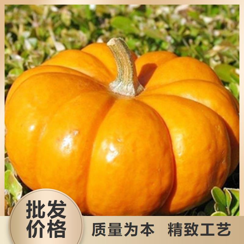 无籽脱水蔬菜丁(金瓜丁)餐饮食材批发零售