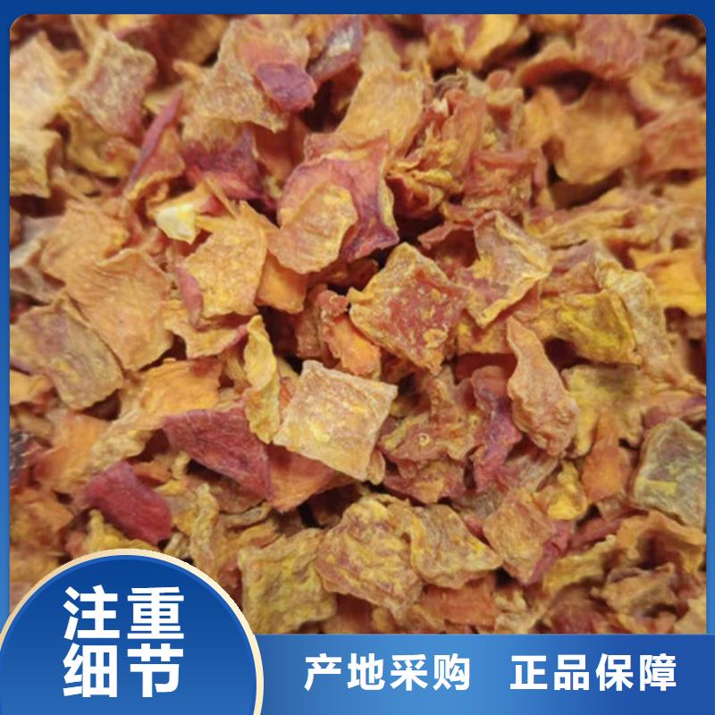 无籽南瓜粒（金瓜粒）今日价格
