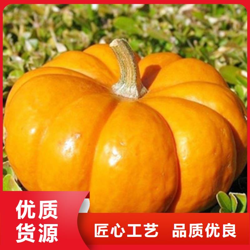 脱水蔬菜丁（南瓜块）专业生产厂家