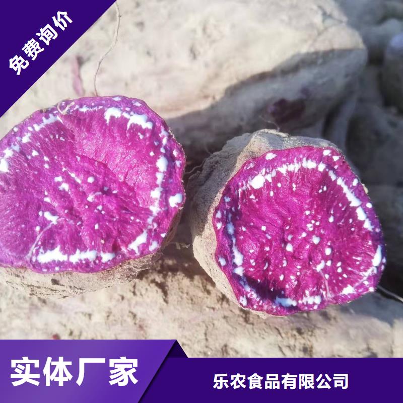 紫地瓜苗报价