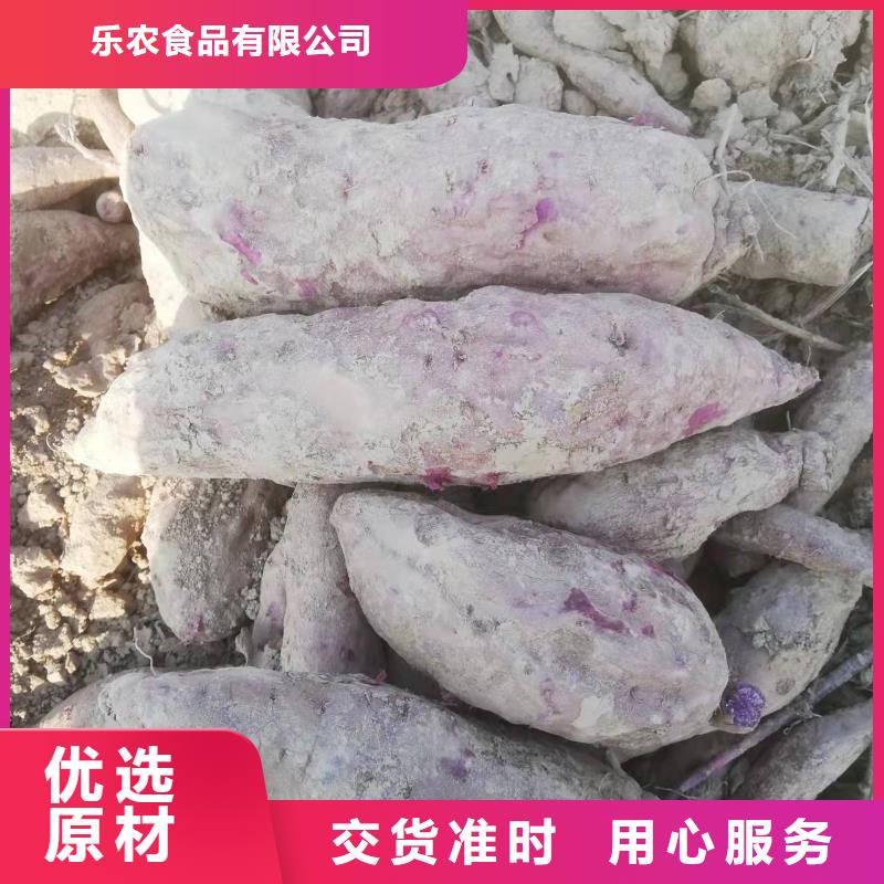 紫地瓜苗厂家